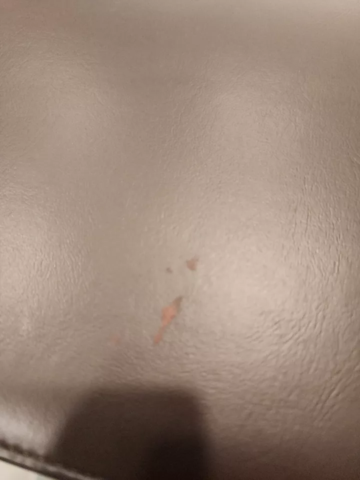 Bagel Francois Antique Purse Great Condition Considering It's Age. - Image 4 of 4