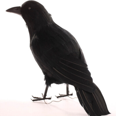Large 18'' Artificial Feathered Black Crow with Black Feet