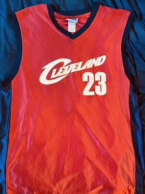 lebron jersey nba store