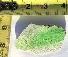 Authentic Berlin Wall Rock, w/ green Graffiti, 3" large, Family Chipped, 1989