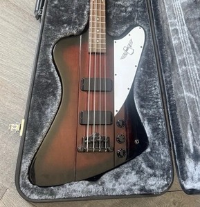 Thunderbird Bass Case | eBay