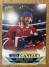 2024-25 Upper Deck Canvas Michael Matheson #C165