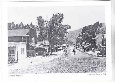 *Postcard-''Forest Avenue'' (Horses Coming Down Dirt Road)-*Laguna Beach Californi