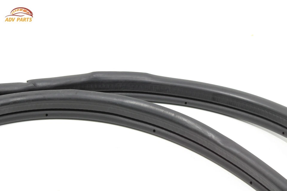 Chevrolet Express 3500 2500 1500 2003-2024 puerta delantera izquierda carrocería sello OEM Foto 2 de 4