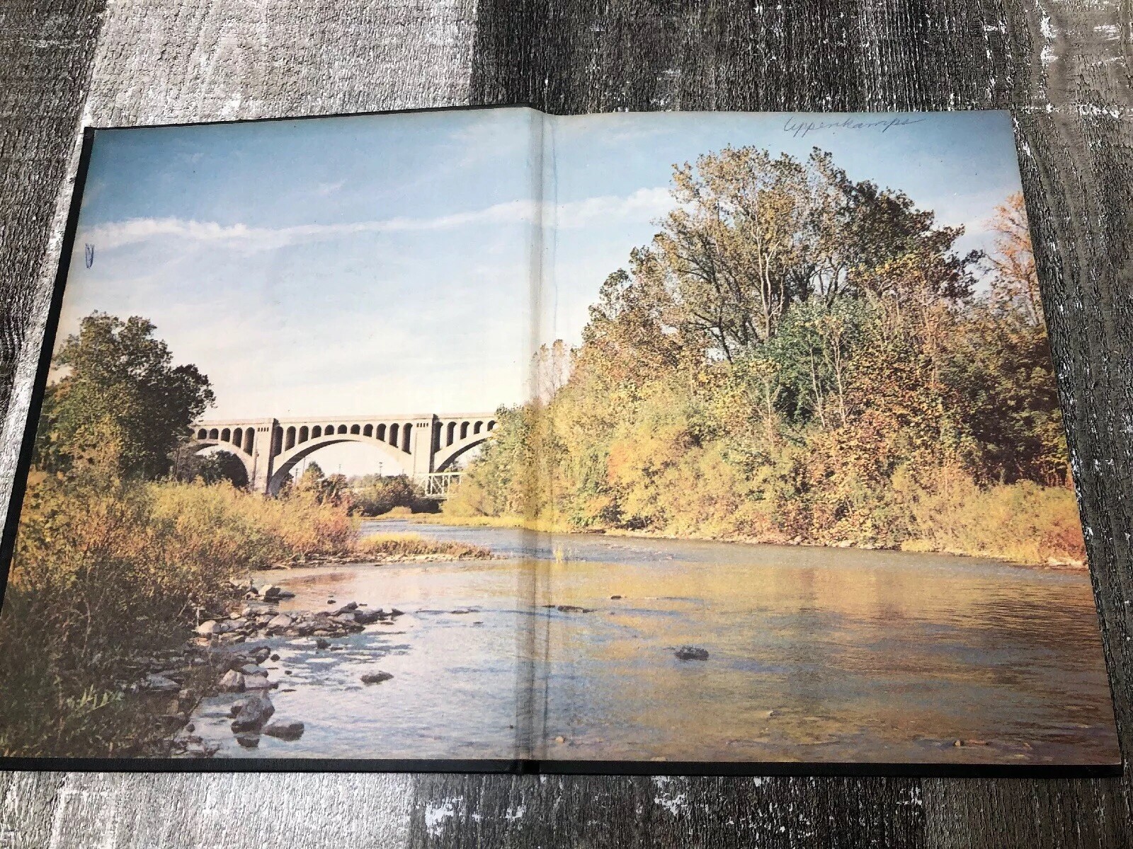 Vintage 1970 Yearbook Botkins Ohio High School The Trojans Yearbook eBay