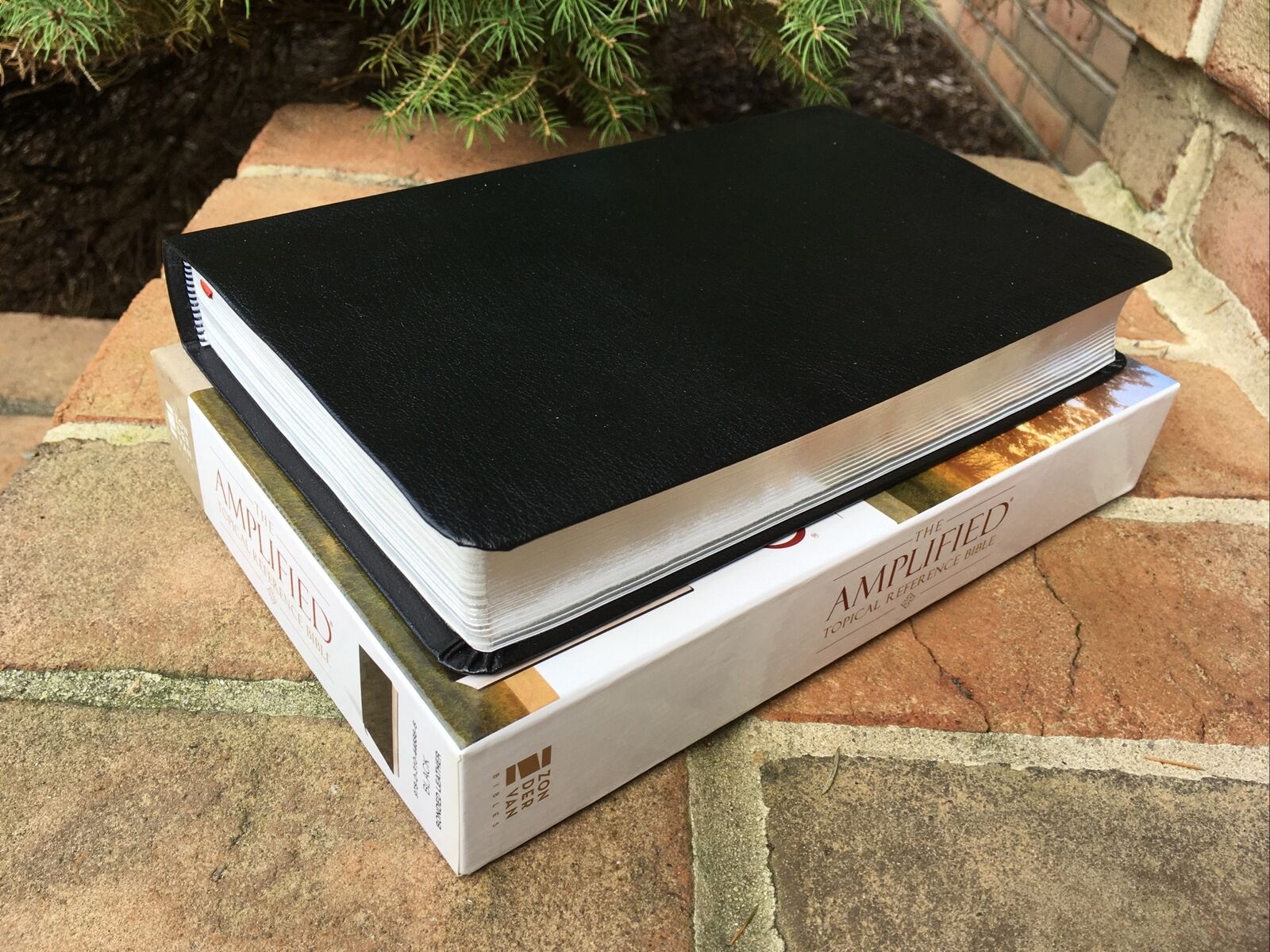 Amplified Topical Reference Bible | AMP Bible |  Black Bonded Leather