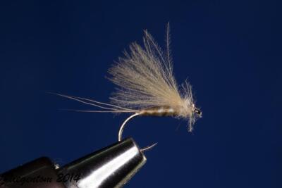 Fliegentom CDC-Trockenfliege  3 Stück - CDC Fratnik Fliege  Nr. 19
