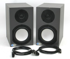 bi amplified speakers