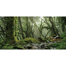 Foggy Forest Terrarium Background Stream Green Huge Tree Reptile Habitat Back...