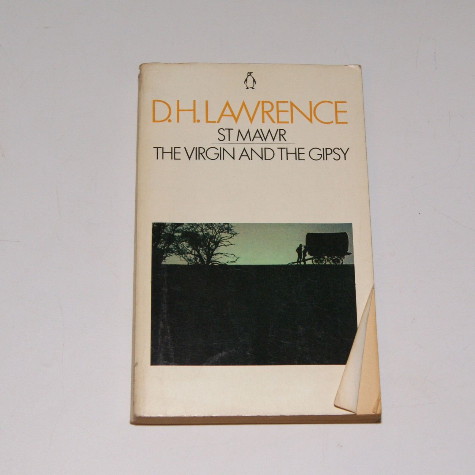 St Mawr / The Virgin and the Gipsy - D. H. Lawrence - Penguin