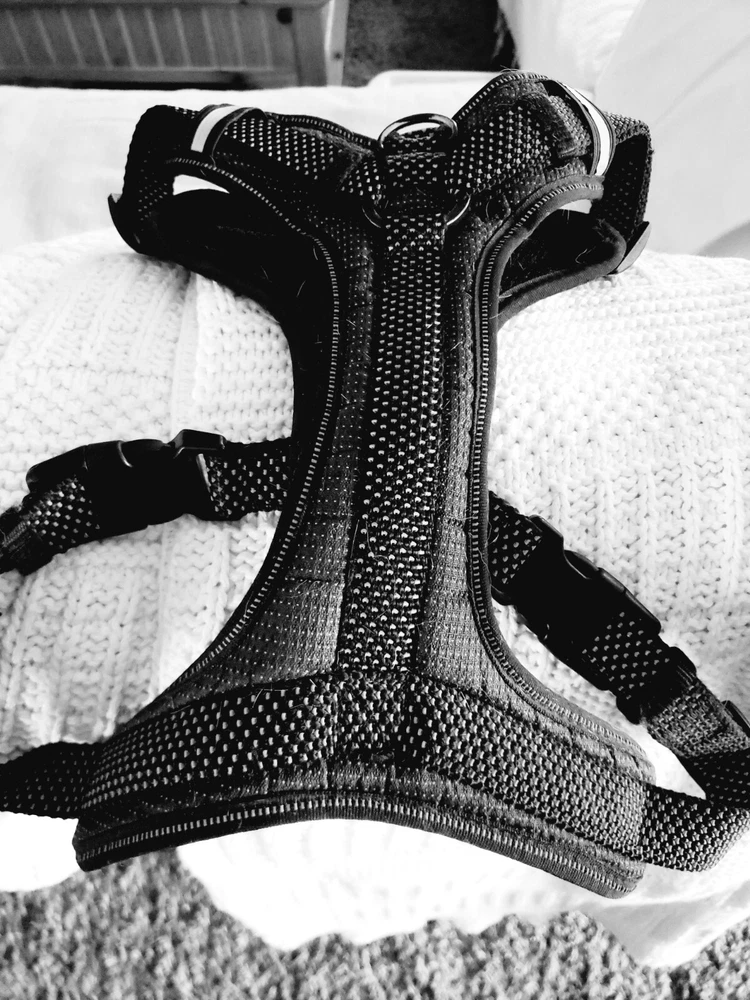 dog harness large