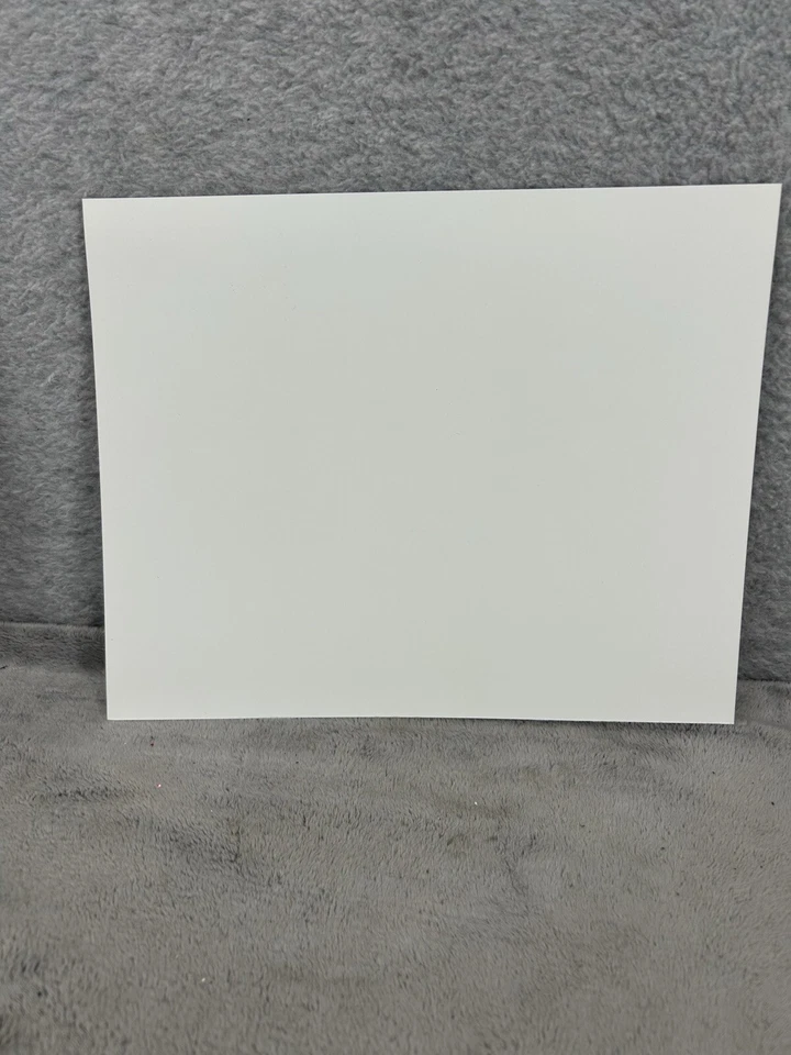 Brad Ausmus 8x10 Houston Astros Photofile MLB Tigers Photo Foto 3 de 4