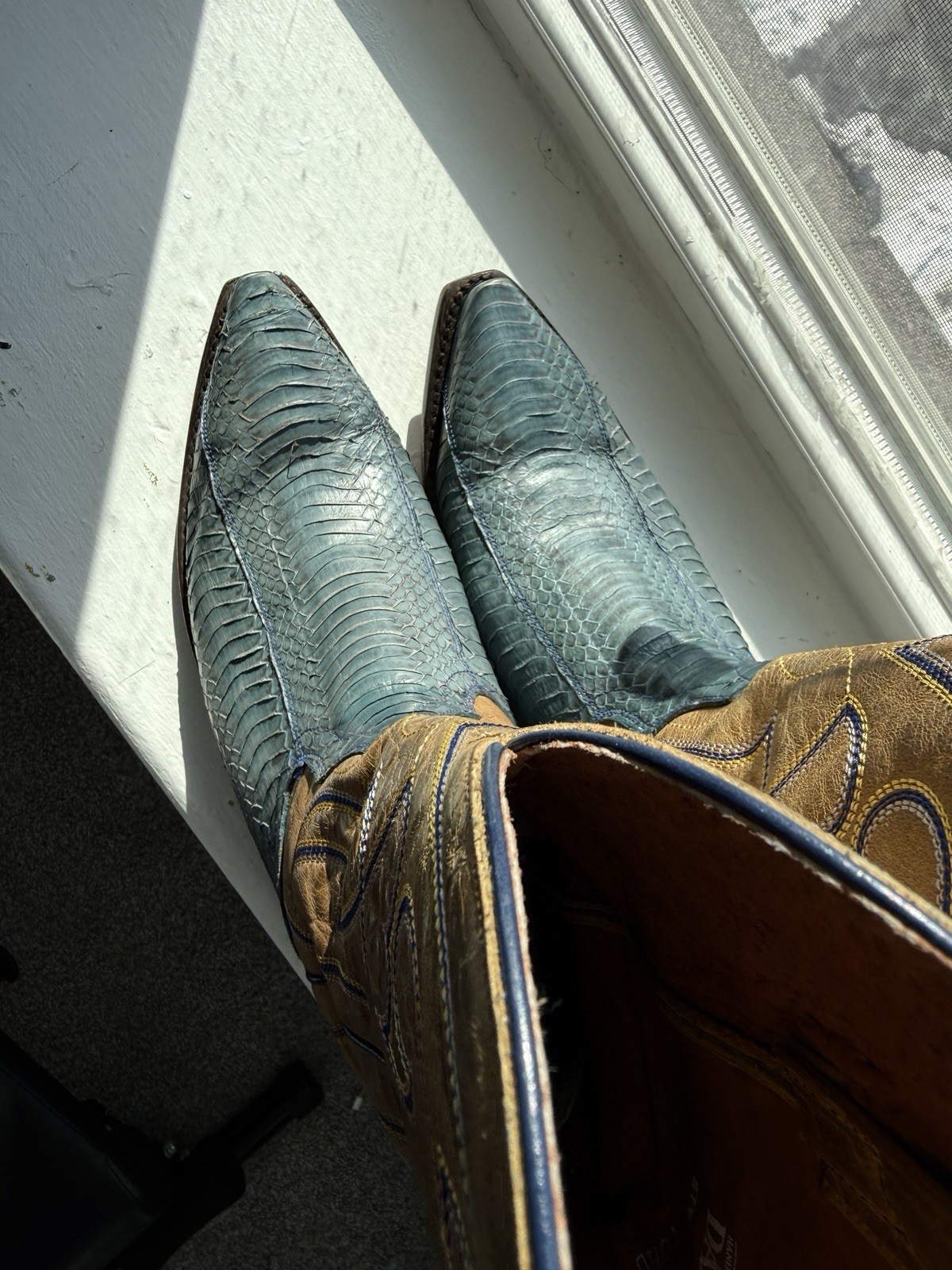 Dan Post Blue Python Cowboy Boots 10.5 - image 4