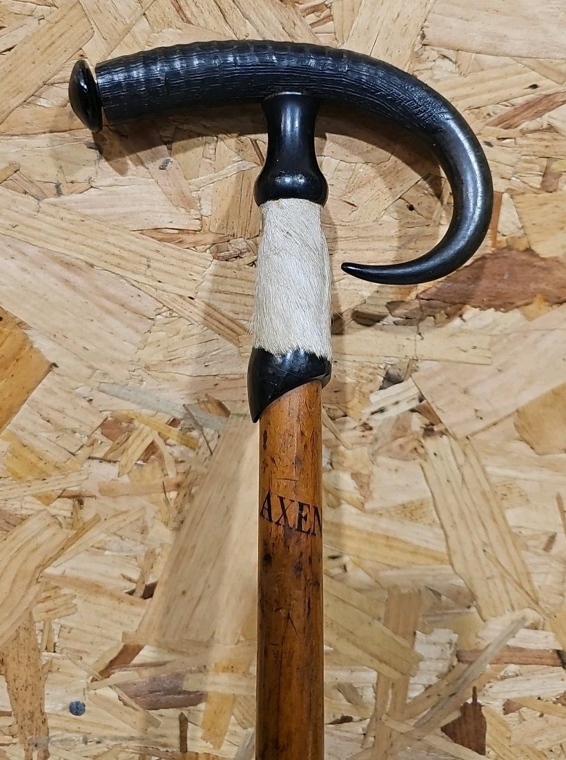 Antique Swiss Alpine Hiking/Walking Stick Goat Horn & Hoof Handle — image 2