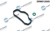 1X Dr.Motor Automotive DRM01200S Dichtungssatz Zylinderkopfhaube FüR Ford Ford U