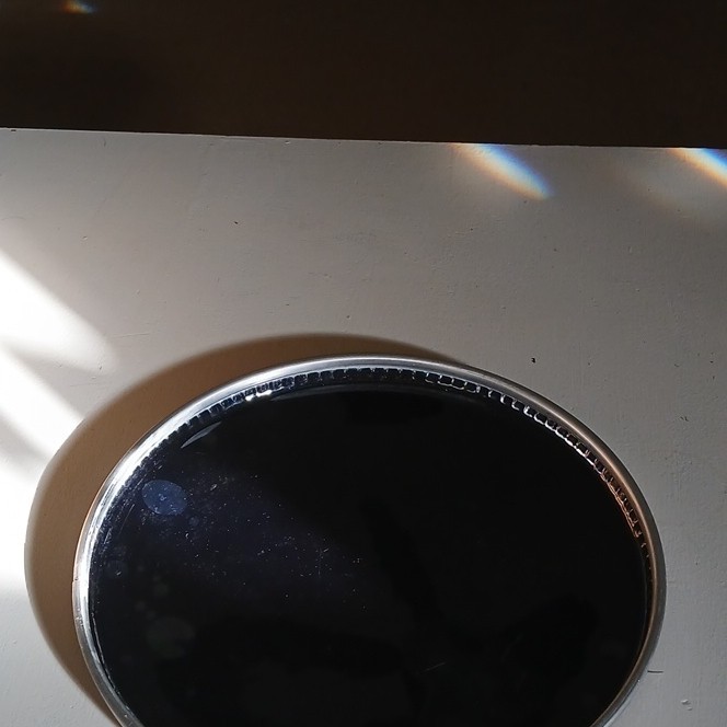 Evans Black Drum Head for Drum, Model Evans RG9-1, MPN RG9-1