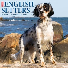Willow Creek Press Calendars, English Setters 2025 Wall Calendar