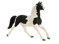 Safari Winner's Circle Horses Pinto Mustang Mare Safari Winner's Circle Horses Pinto Mustang Mare