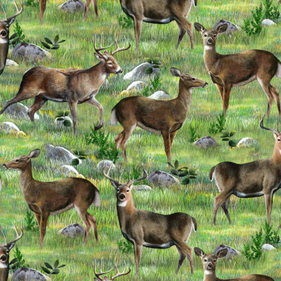 BTY Wilmington Hidden Valley DEER on Grass Print 100% Cotton Quilt Fabric Yard