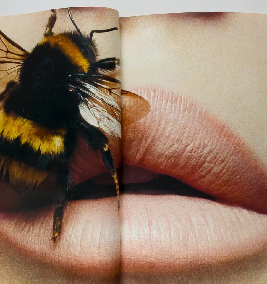 LANA DEL RAY NICKI MINAJ CHLOE SEVIGNY ANGELINA JOLIE Interview February 2012 De - Image 3 of 4