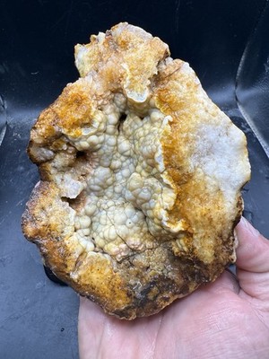 Fossilized Indiana Geode Crystal  Agate Crinoid 4,080 Carats