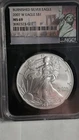 2007-W Burnished Silver Eagle NGC MS69 – Rare Satin Finish Collector Issue