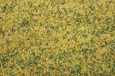 1000Hierbas Paella Especia Paella Especia para