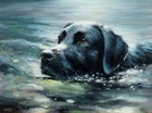 BLACK LABRADOR SWIMMING ORIGINAL FINE ART PAINTING 40 x 30 cm by JOHN SILVER BA