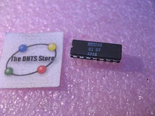 DAC01-DY PMI Digital Analog Converter DAC IC Ceramic - NOS Qty 1