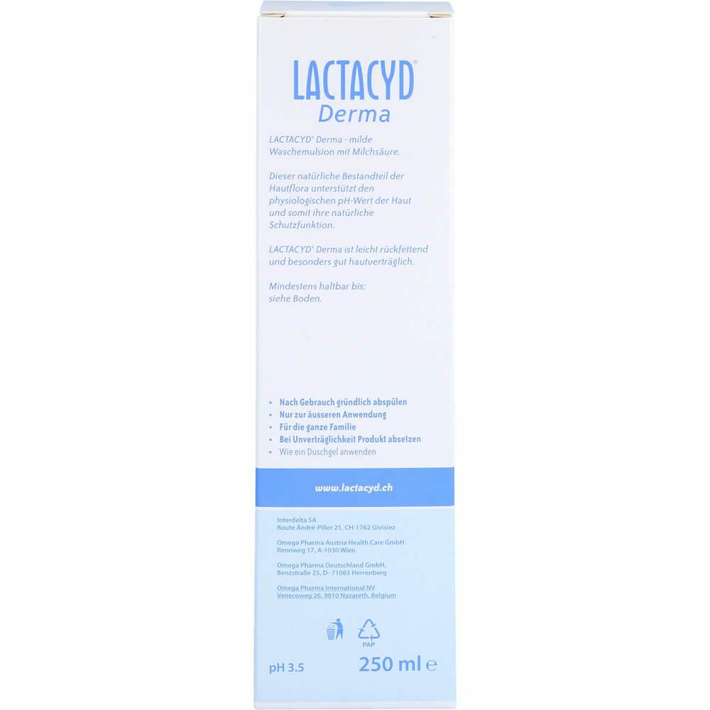 LACTACYD Derma Waschsyndet 250 ml PZN07320185