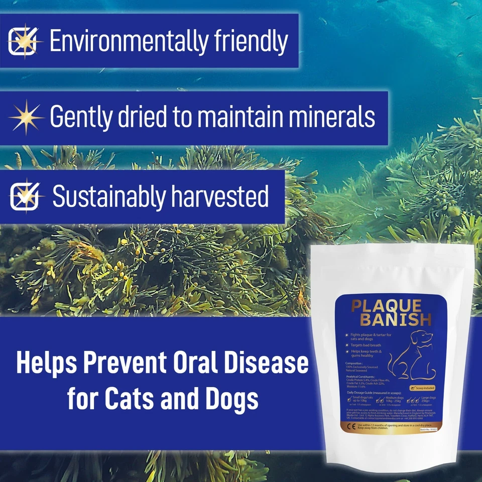 PLAQUE BANISH Plaque Off For Dogs Cats Teeth Remove Plaque, Tartar & Bad Breath - Image 4 of 4