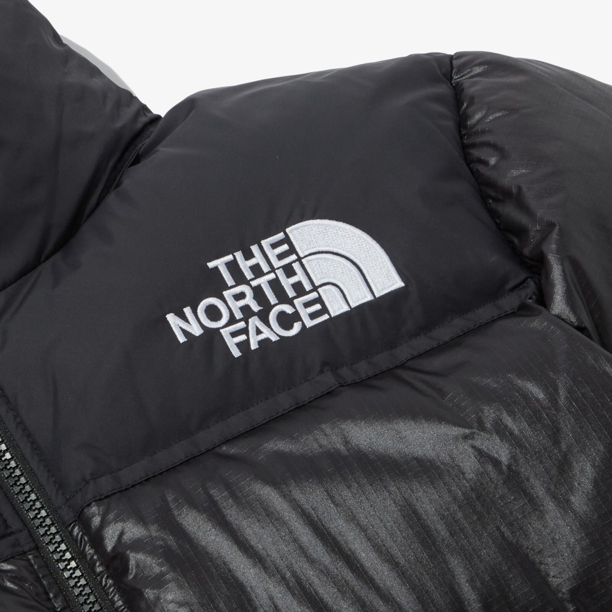 The North Face W'S 1996 ECO NUPTSE JACKET GOOSE NJ1DQ85B