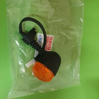 @ Yamaha Belgarda TT600R TT600RE TT Blinker Blinkerglas geschraubt vorn rechts - Bild 1 von 3