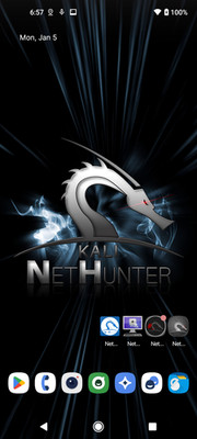 OnePlus 8T 5G 12GB 256GB  Unlocked Rooted Kali Nethunter