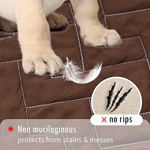 fuguitex Waterproof Dog Bed Cover Couch Cover for Pet AntiSlip Cat Mat Pet P... eBay