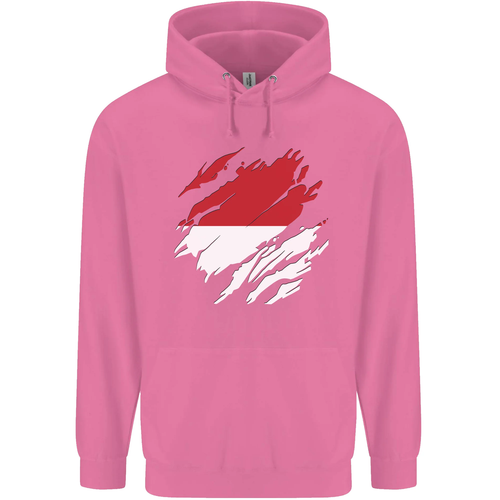 Torn Indonesia Flag Indonesian Day Football Childrens Kids Hoodie - Picture 5 of 76