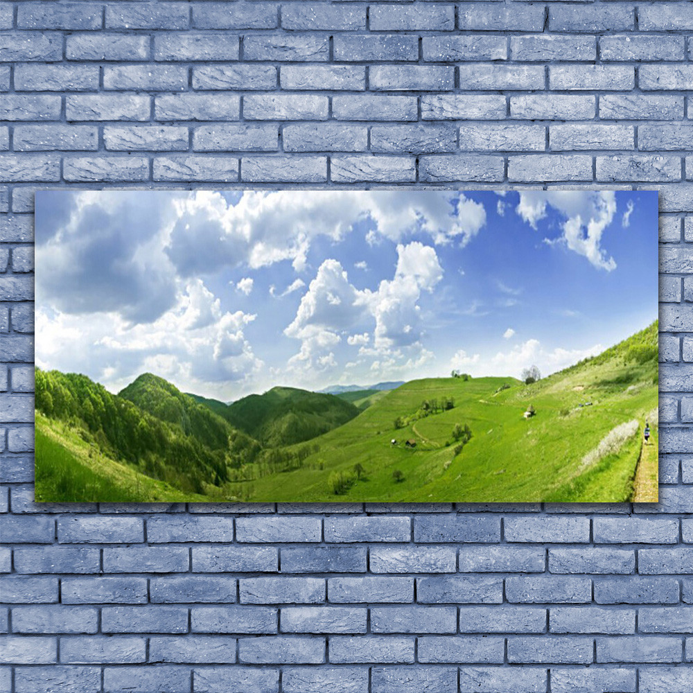 Tableau nature prairie pour illuminer un mur sombre pièce sans fenêtre