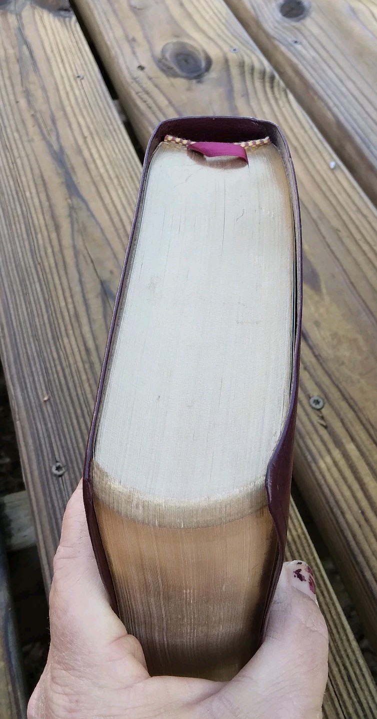 Picture 9 of 15