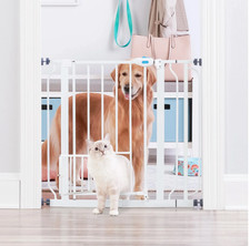 Carlson metal dog gate, 31 inch tall, walk-through, extra small pet door, white