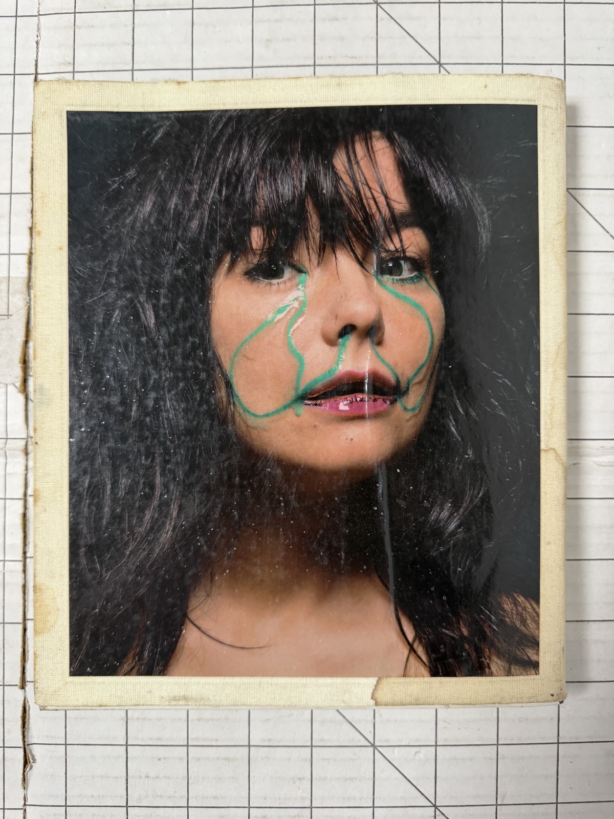 Björk: A Project By Björk Art Book (2001)