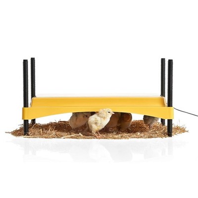 Brinsea Ecoglow Safety 1200 Chick or Duckling Brooder, Adjustable Height & Angle