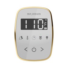Mr Steam TF Tempoflex Steam Shower Control and Steamhead - White / Oil-Rubbed