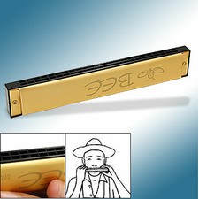 24 Double Hole Harps 48 Tone Gold-tone Harmonica