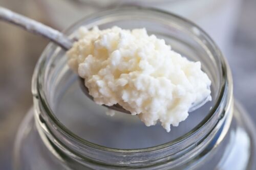 Meilleure vente probiotique biologique lait vivant grains de kéfir champignon tibétain Grzybek - Photo 1/4