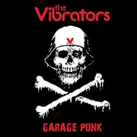 Vibrators - Garage Punk - Vinyl Record - G4Z