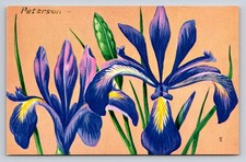 1957 National Wildlife Federation Postcard Narrow Blue-Flag Iris Peterson Art