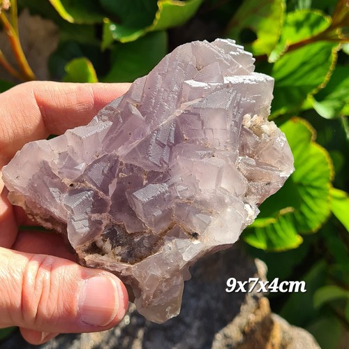 Video TOP gradino manuale fluorite 9x7x4 cm Belucistan Pakistan - Foto 2 di 7