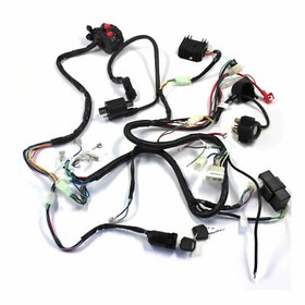 250cc QUAD ELECTRICS 150 200cc Zongshen Lifan Ducar Razor CDI COIL WIRE HARNESS