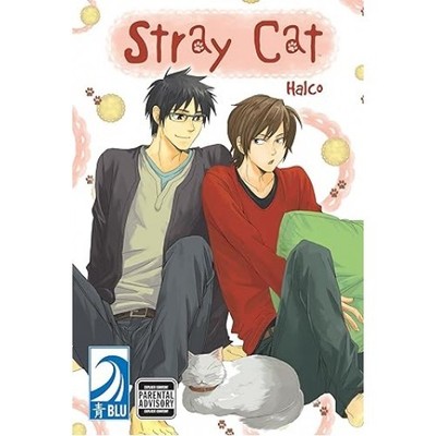 Stray Cat