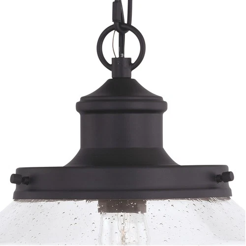 Vaxcel Lighting T0547 Collins 1 Light 10"W Pendant - Black - Picture 3 of 10